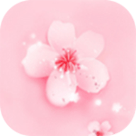 WWW,se411·COM网站APP最新版